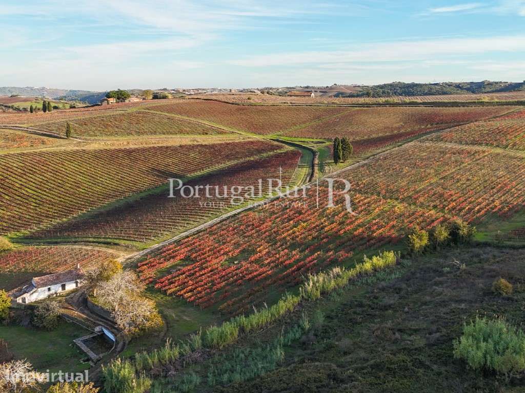 Quinta vitivinicola centenária com 34,5 hectares em Alenquer, Lisboa - Grande imagem: 3/56