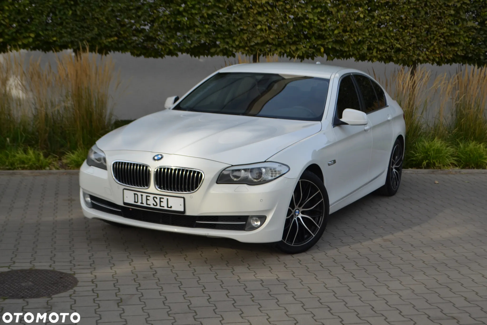 BMW Seria 5 - 3