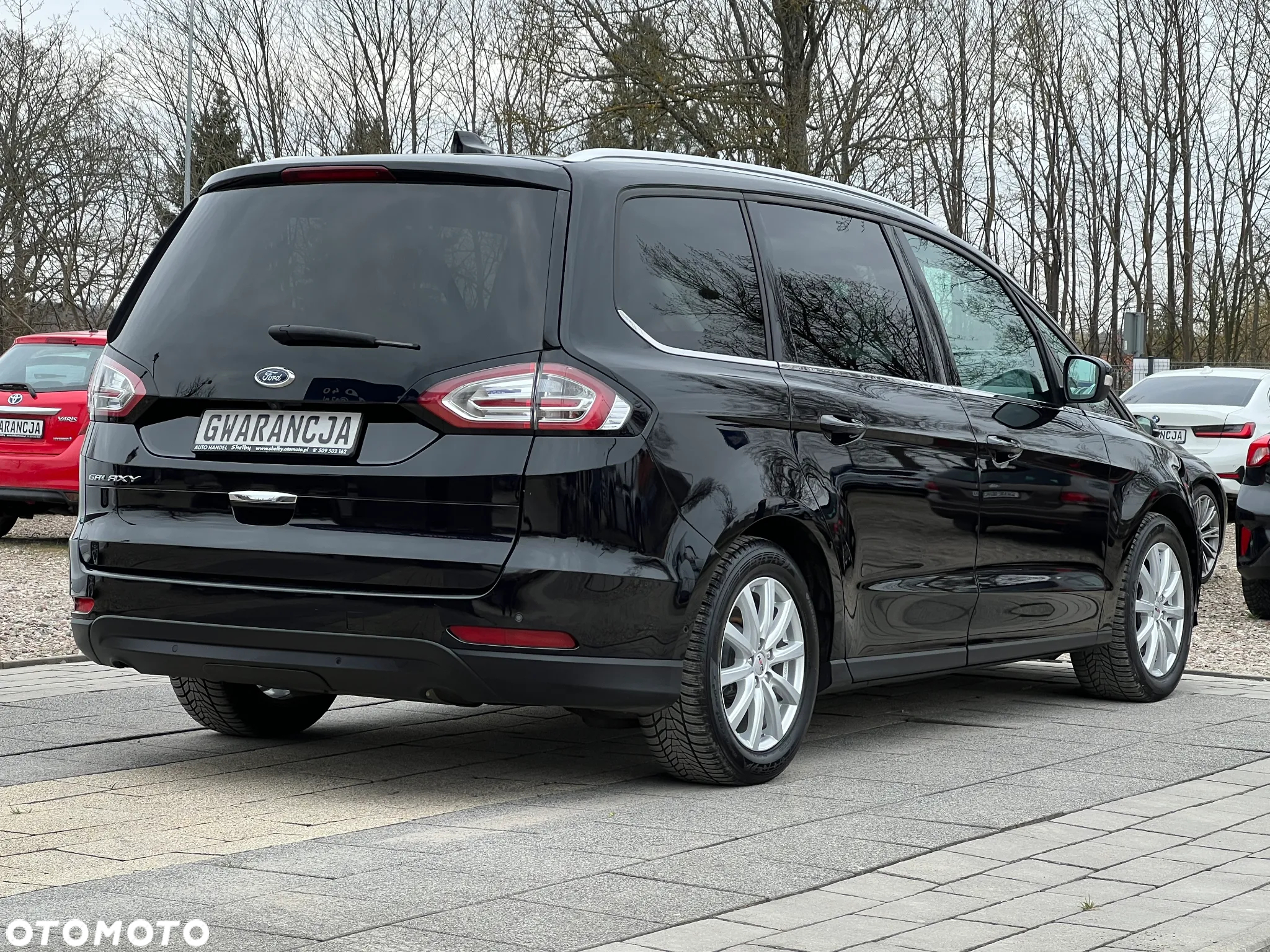 Ford Galaxy 2.0 EcoBlue S&S TITANIUM - 11