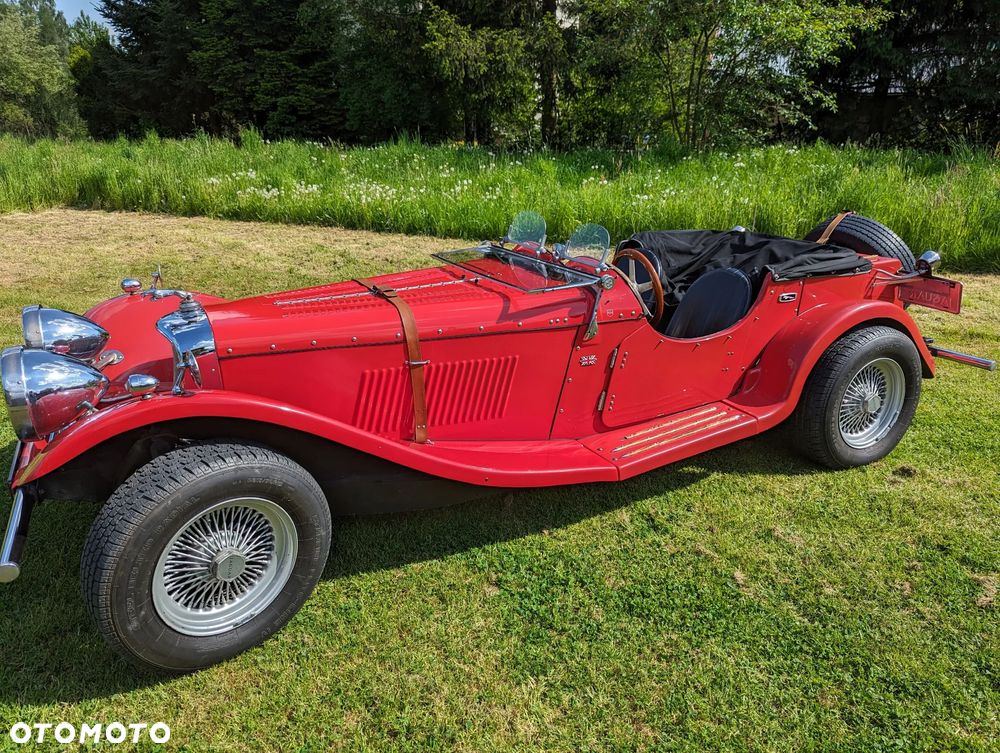 Jaguar Inny - 3