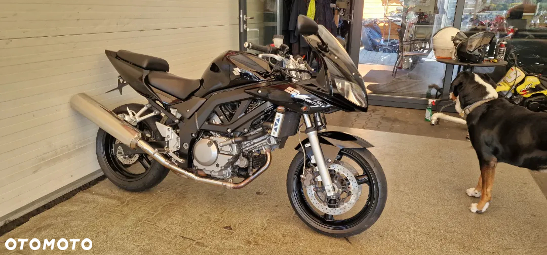 Suzuki SV - 13