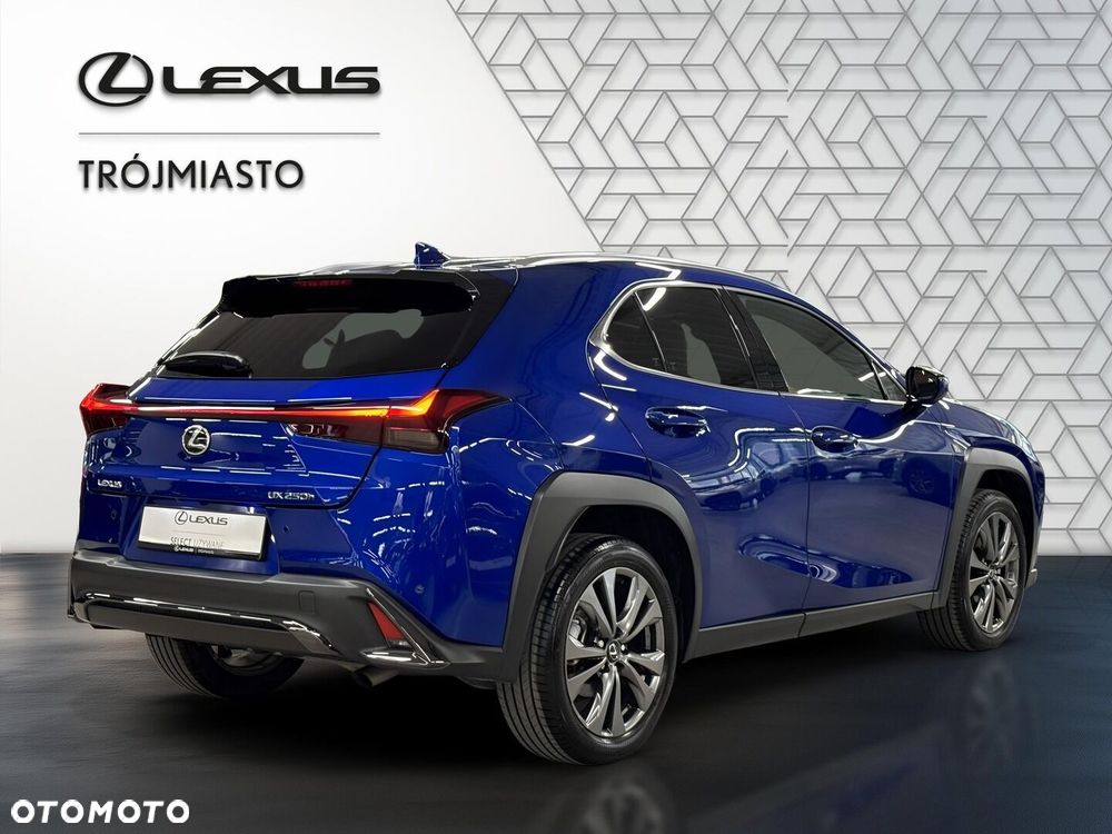 Lexus UX 250h GPF F Sport Design 2WD - 6