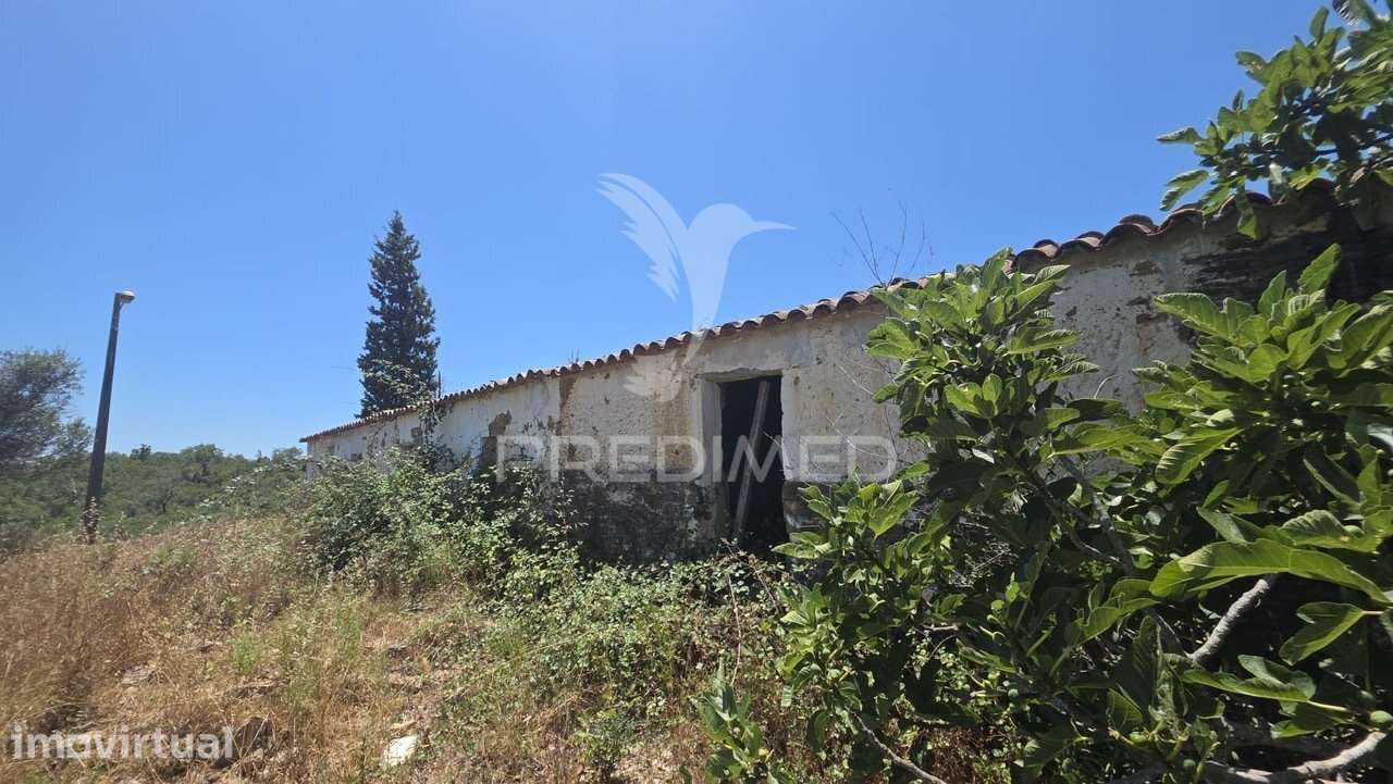 Quinta Rural com casa em Ruinas, Vale Grou, Algarve - Grande imagem: 3/9
