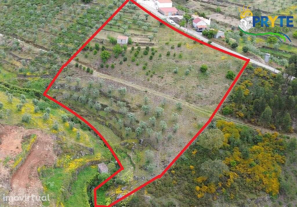 Terreno com área total de 6900 metros quadrados a confinar com ribeiro - Grande imagem: 2/19