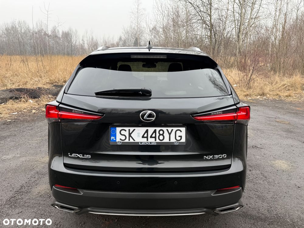 Lexus NX 2019