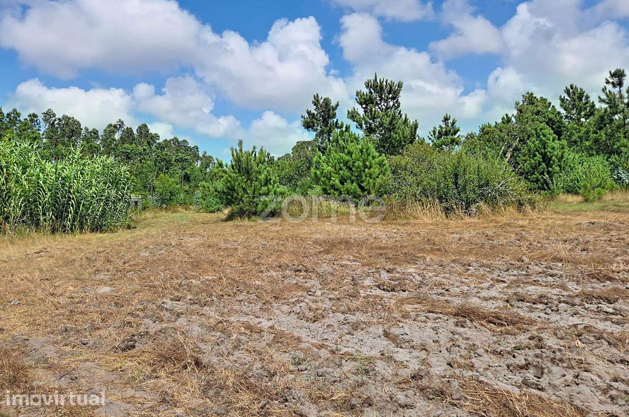 Terreno urbanizável| Ruína |3 km da Praia da Leirosa - Grande imagem: 5/34