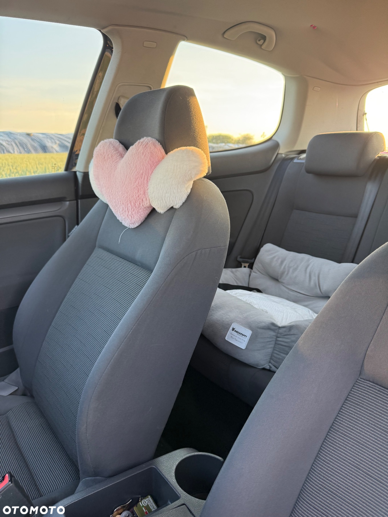 Volkswagen Golf - 8