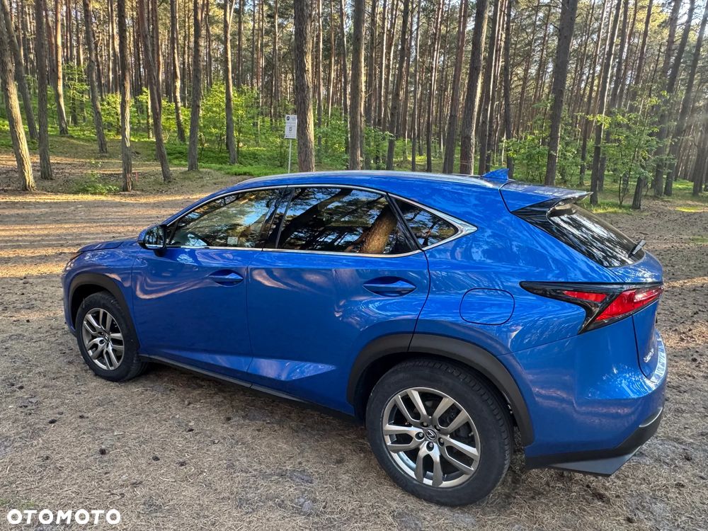 Lexus NX 300 Elegance AWD - 16