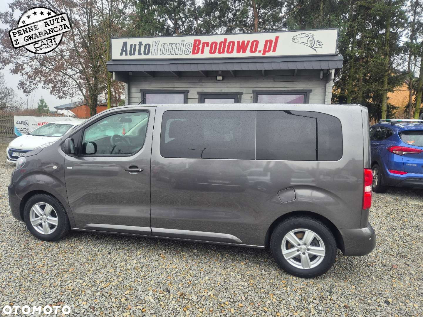 Peugeot Traveller - 9