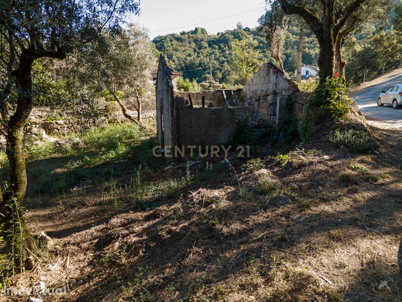 Moradia para reconstrução em Lardosa, Soalhães - Grande imagem: 4/10