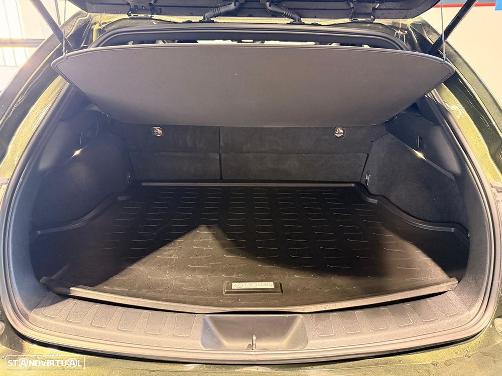 Lexus UX 250h F Sport - 15