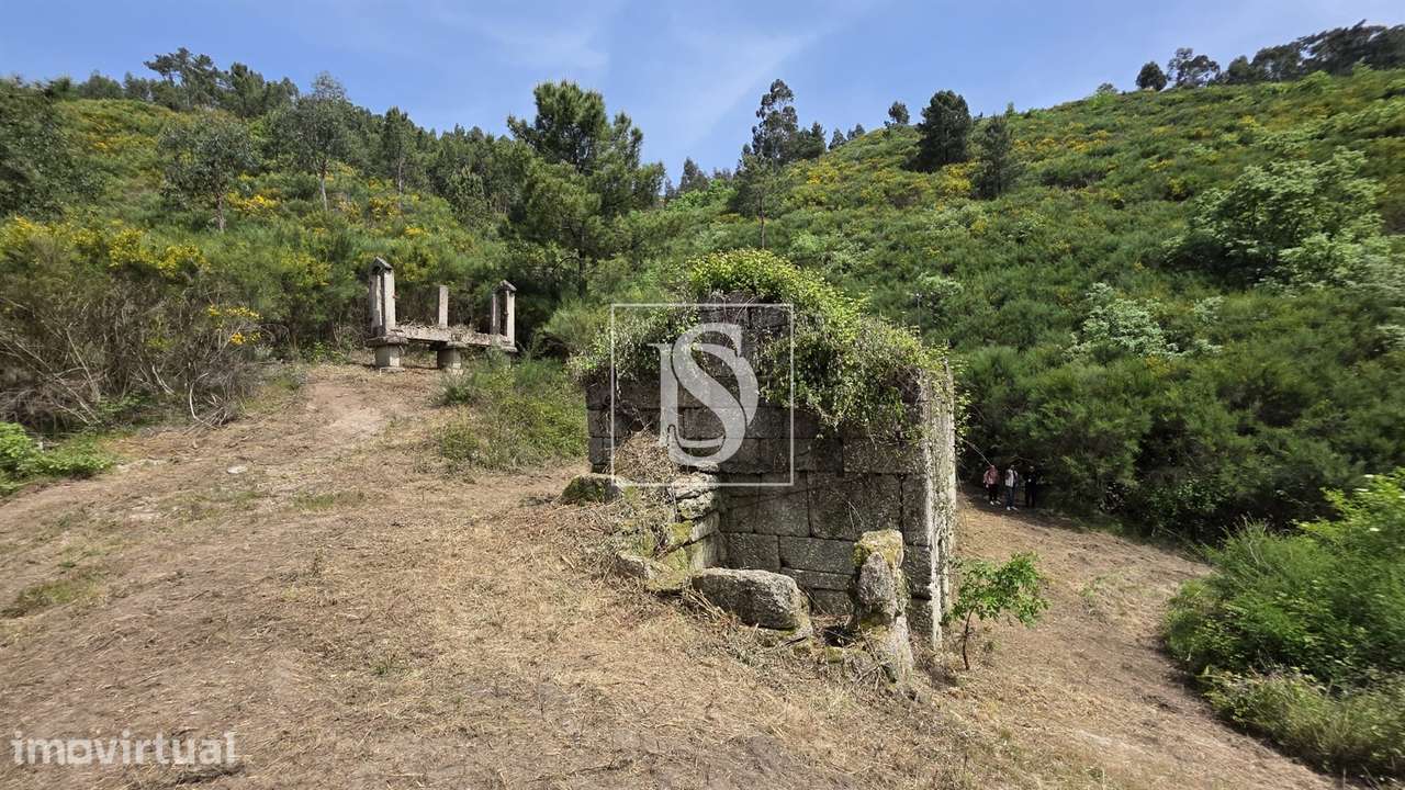 Quinta da Pinha em Bustelo - Amarante - Grande imagem: 4/22