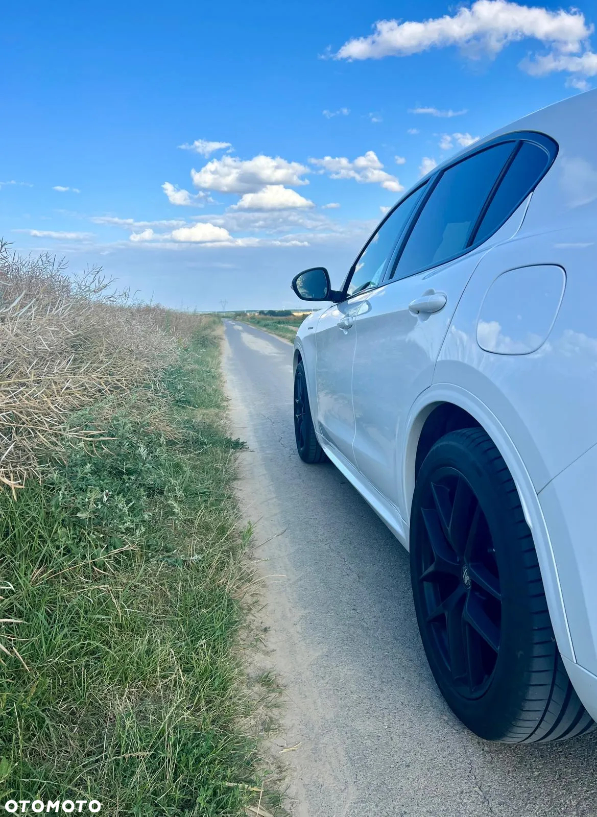 Alfa Romeo Stelvio 2.0 Turbo Veloce Q4 - 14