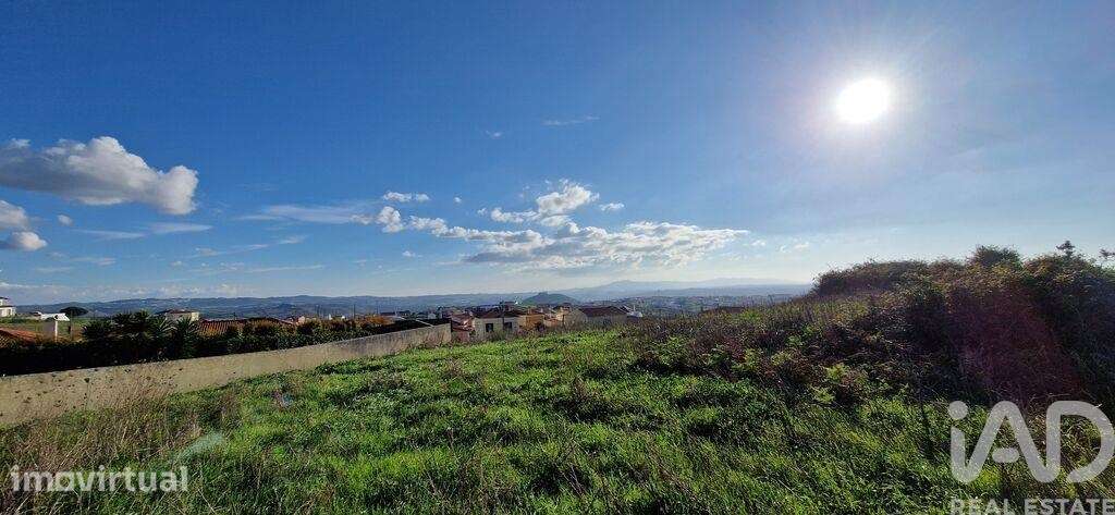 Terreno em Igreja Nova e Cheleiros de 10000,00 m2 - Grande imagem: 3/18