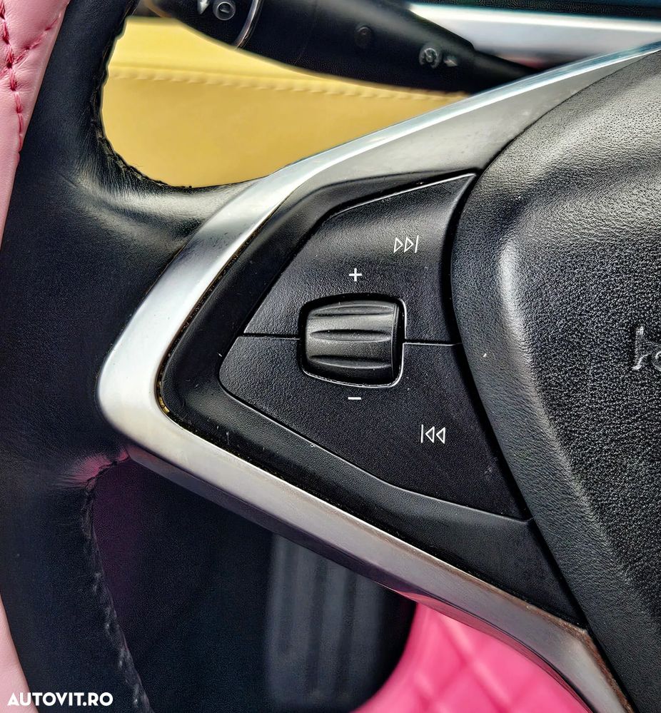 Tesla Model S Performance - 19