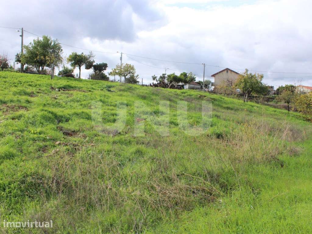 Terreno Rústico com Viabilidade de Construção para Venda em Pedra d... - Grande imagem: 3/17