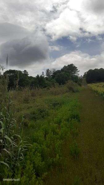 Vendo terreno Zona Azambuja - Grande imagem: 3/8