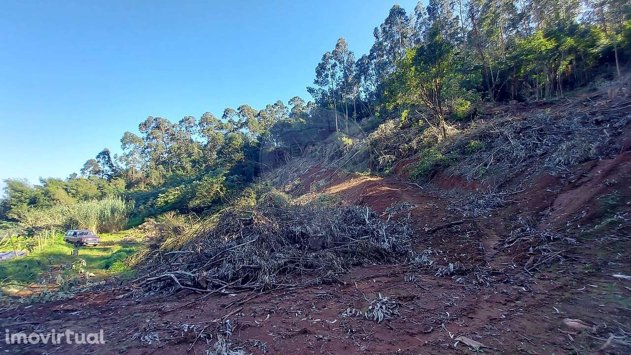 Terreno  para venda - Grande imagem: 2/6