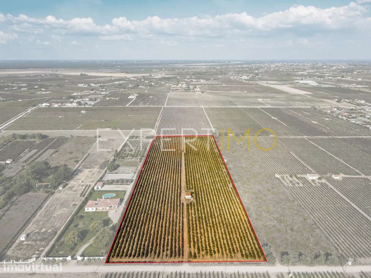 Terreno Rústico de 28.500 m² com vinha e potencial de construção - Grande imagem: 4/13