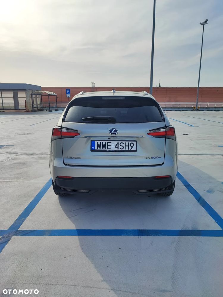 Lexus NX - 4