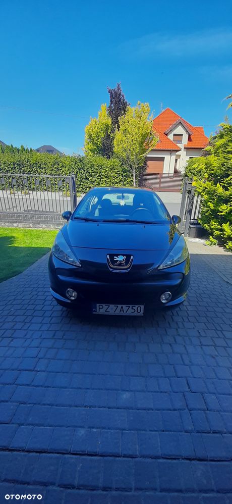 Peugeot 207 - 8