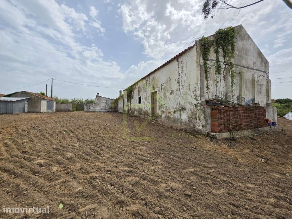 Casa Térrea para recuperar em terreno de 1840m2 - Grande imagem: 5/13