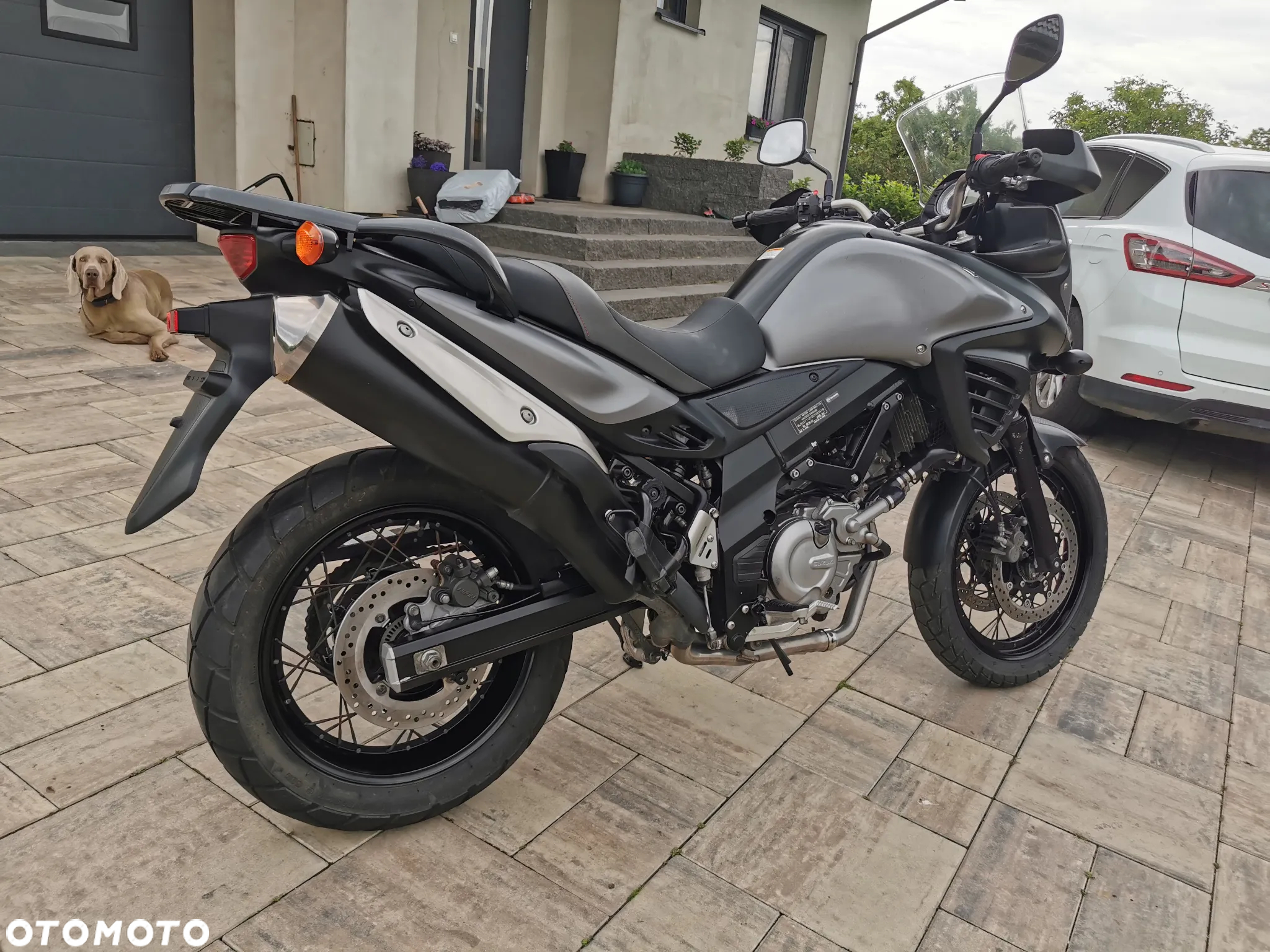Suzuki DL - 8