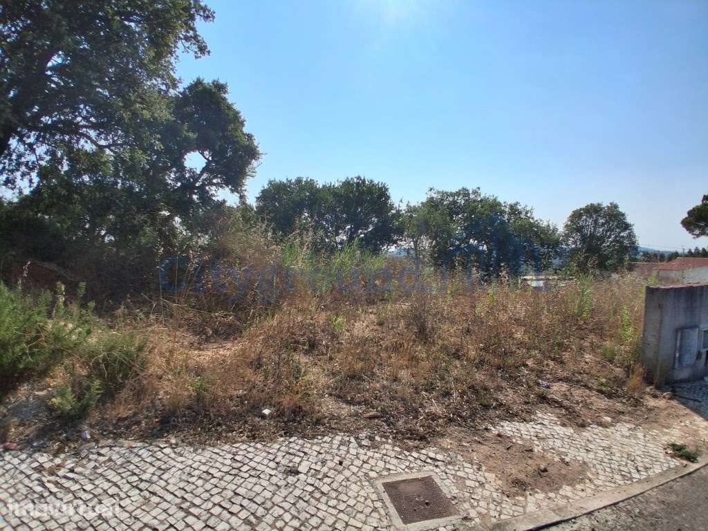 Lote para construção em A-dos-Negros - Grande imagem: 3/9