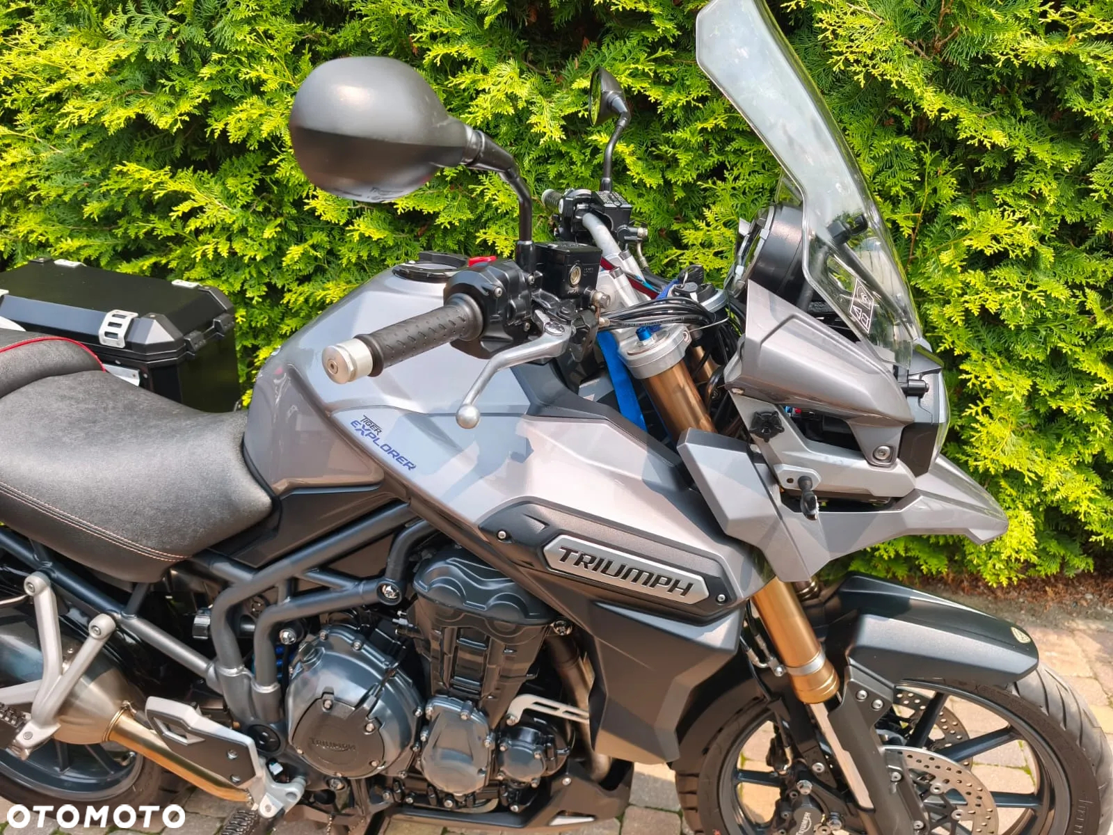 Triumph Tiger - 18