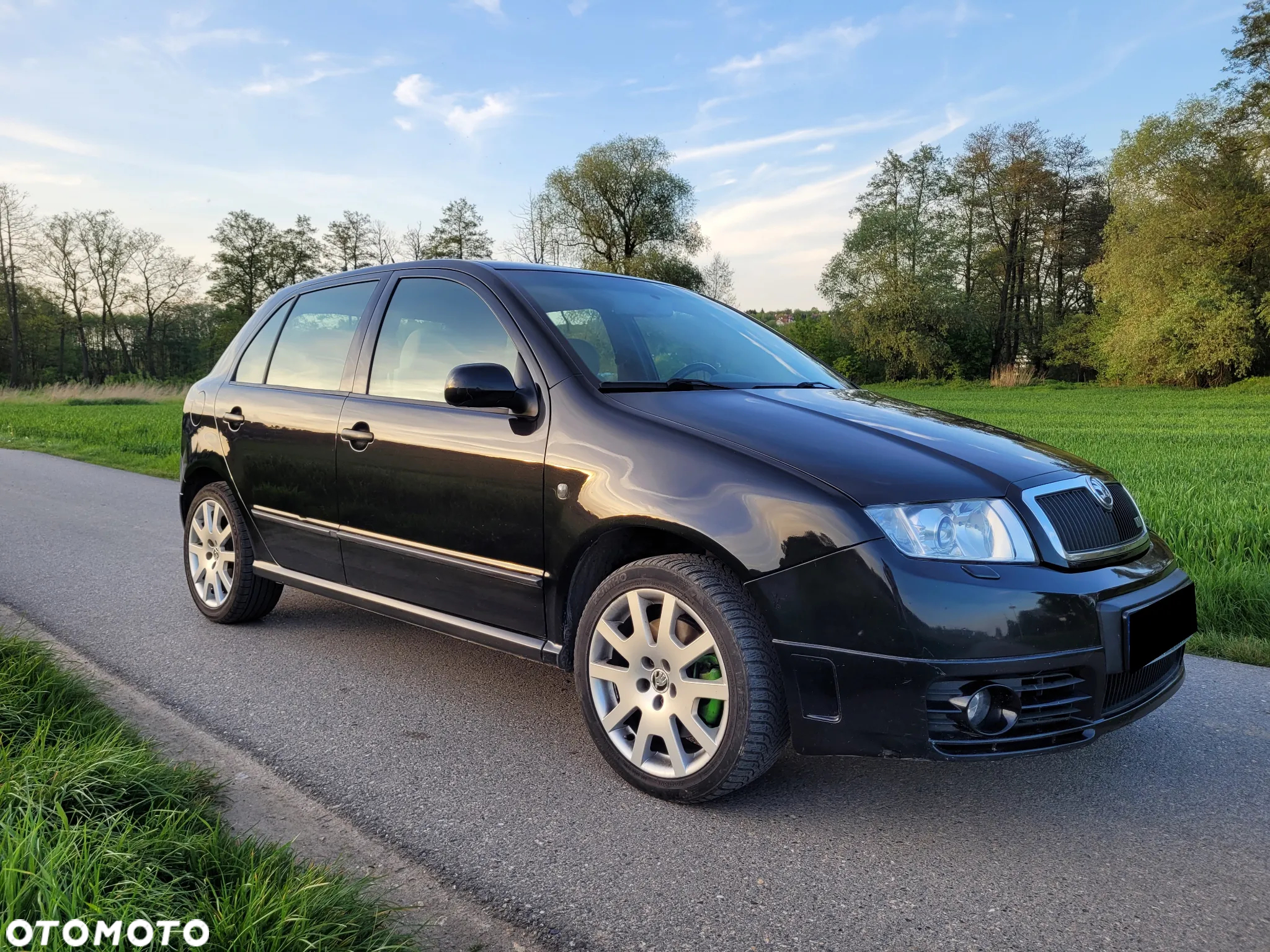 Skoda Fabia 1.9 TDI RS - 8