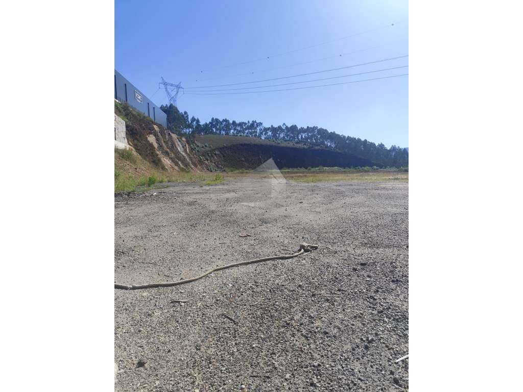 Terreno Industrial com 25.000 m² - Grande imagem: 2/8