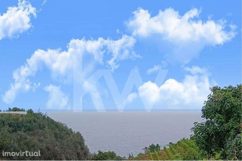 Terreno com 3830m2, para construção em Santana| Freguesia de S.Jorge ( - Grande imagem: 3/14