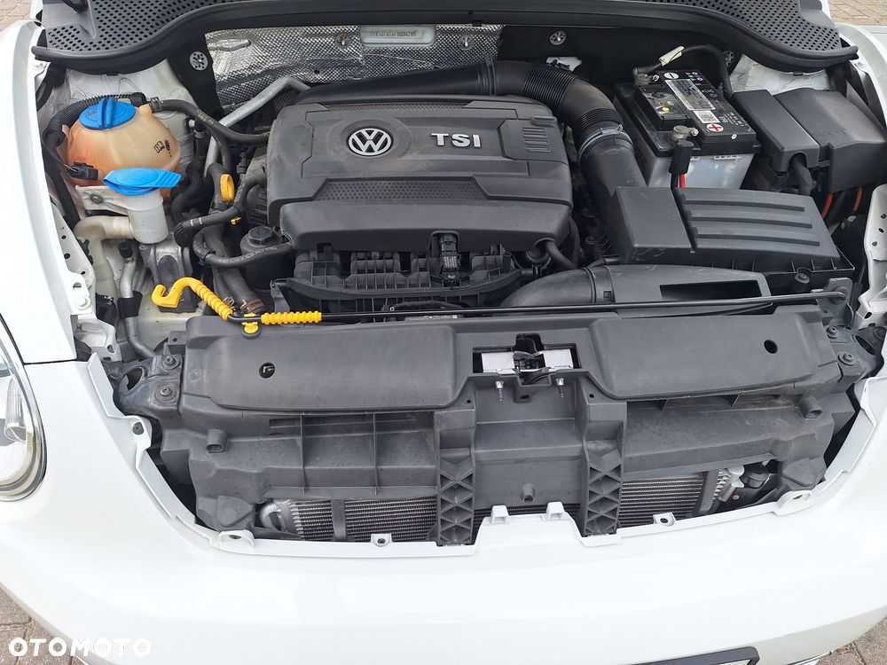 Volkswagen Beetle - 6