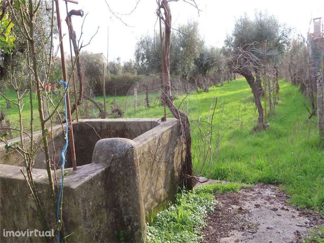 Quinta  para venda - Grande imagem: 3/24