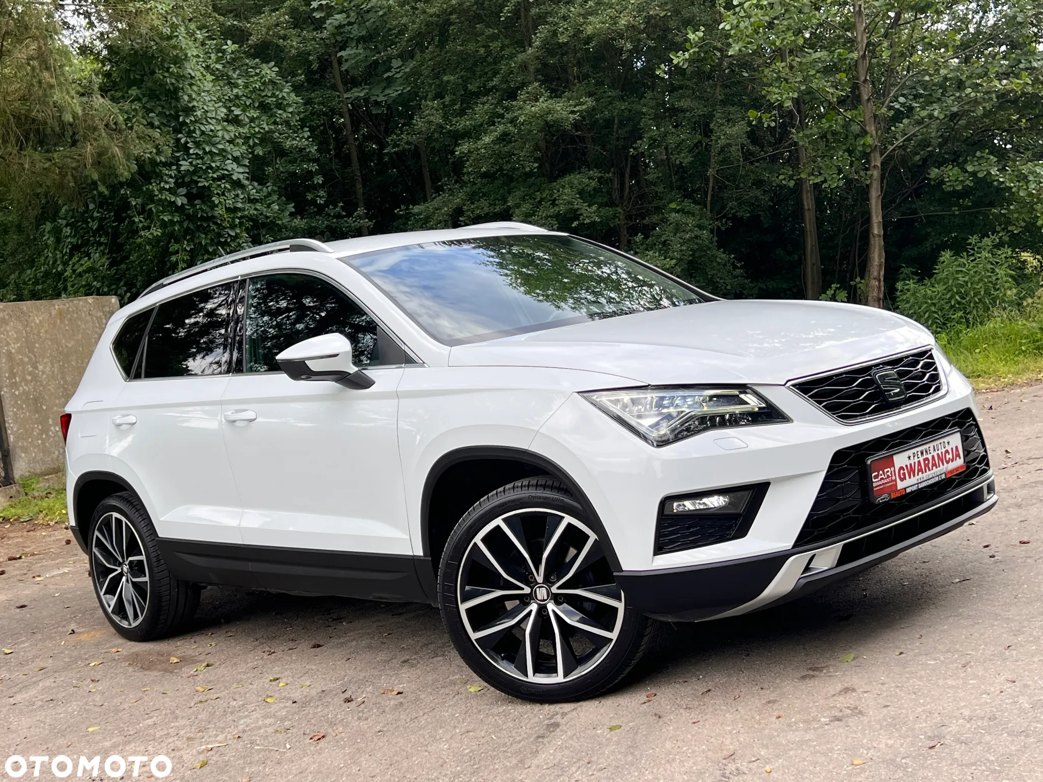 Seat Ateca 1.4 Eco TSI Xcellence S&S - 10