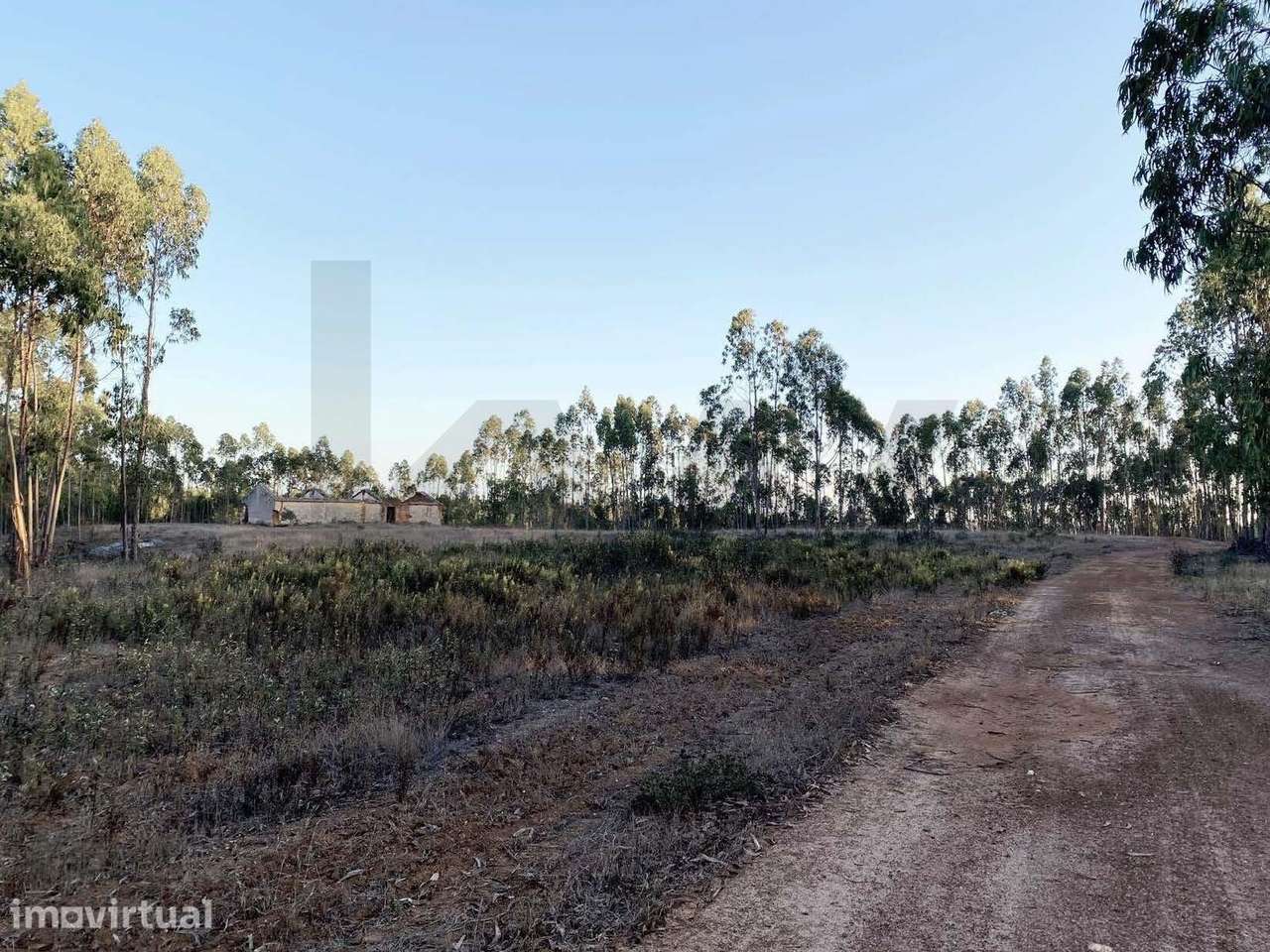 Herdade com 54 Hectares na Serra de Odemira: Moradia com projeto em Ta - Grande imagem: 2/23