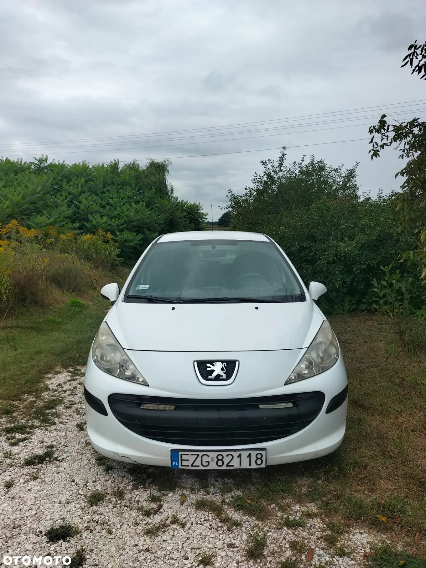 Peugeot 207 - 5