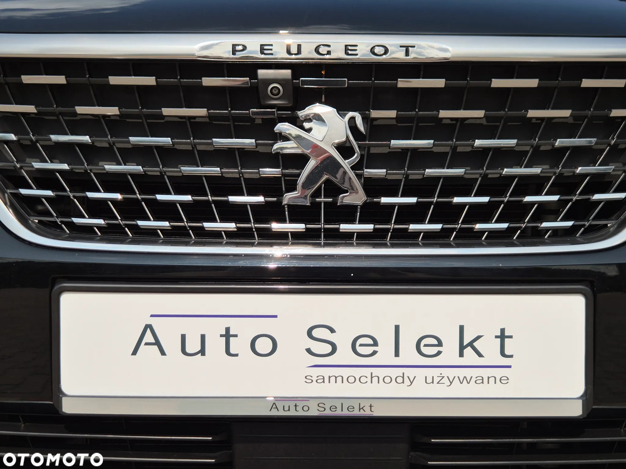 Peugeot 3008 - 30