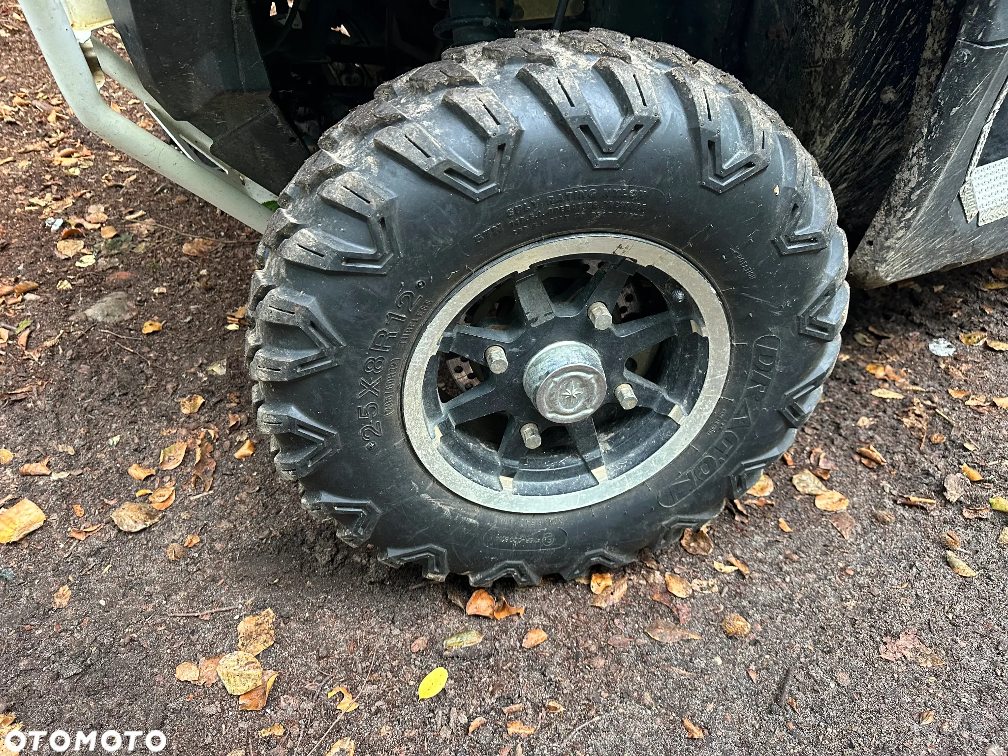 Polaris RZR - 4