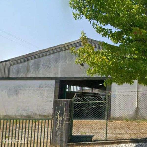 Terreno Industrial - Grande imagem: 4/7
