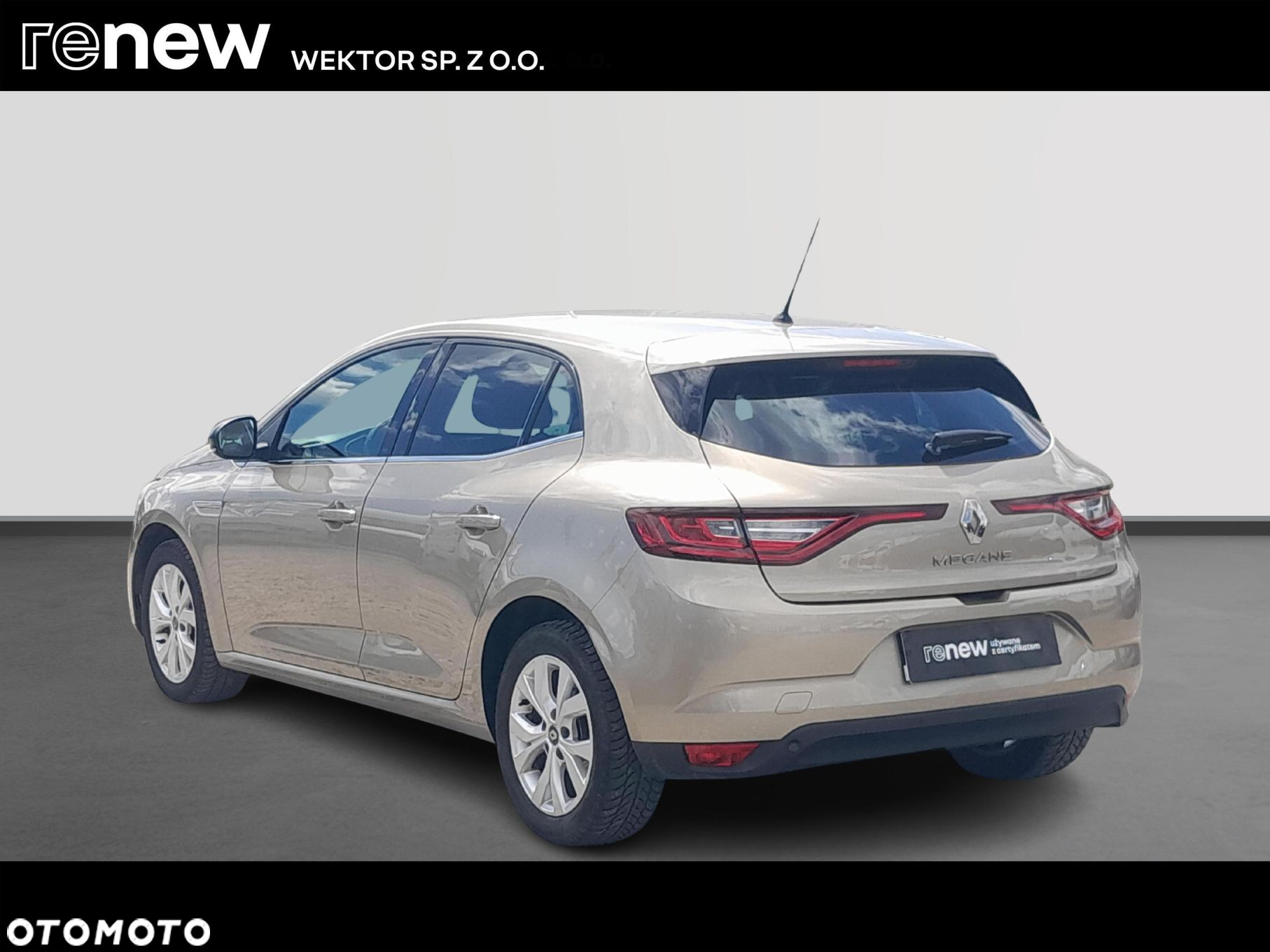 Renault Megane 1.3 TCe FAP Limited - 3
