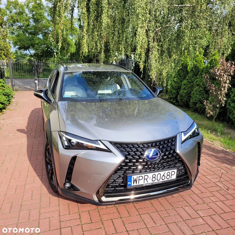 Lexus UX 250h GPF F Impression 2WD - 2