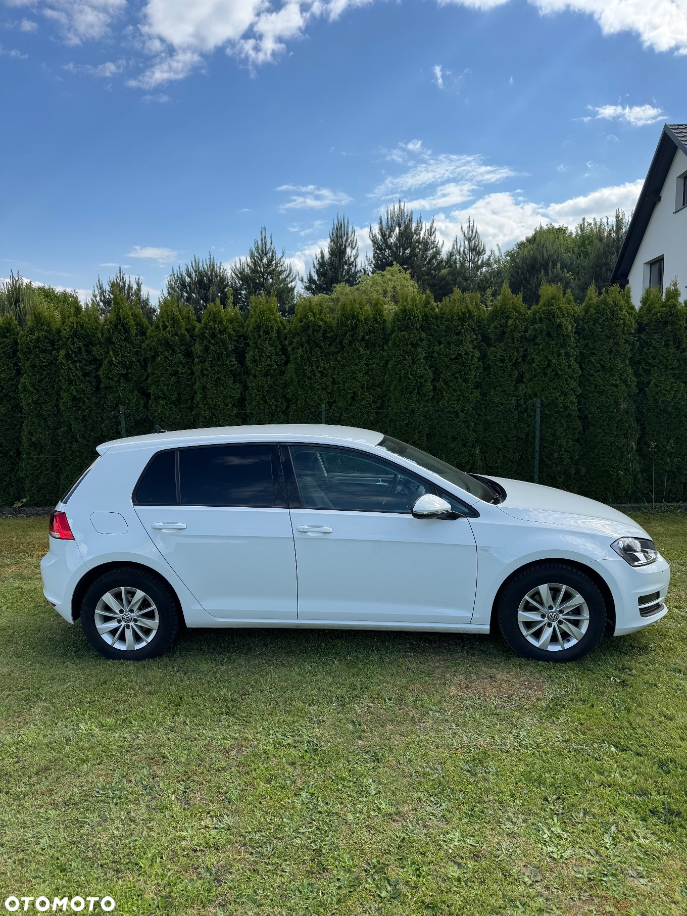 Volkswagen Golf - 12