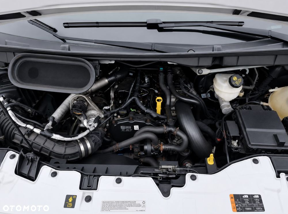 Ford Transit - 4
