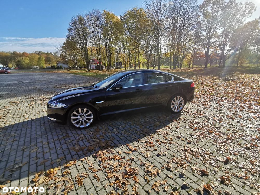 Jaguar XF 3.0 V6 D Premium Luxury - 1