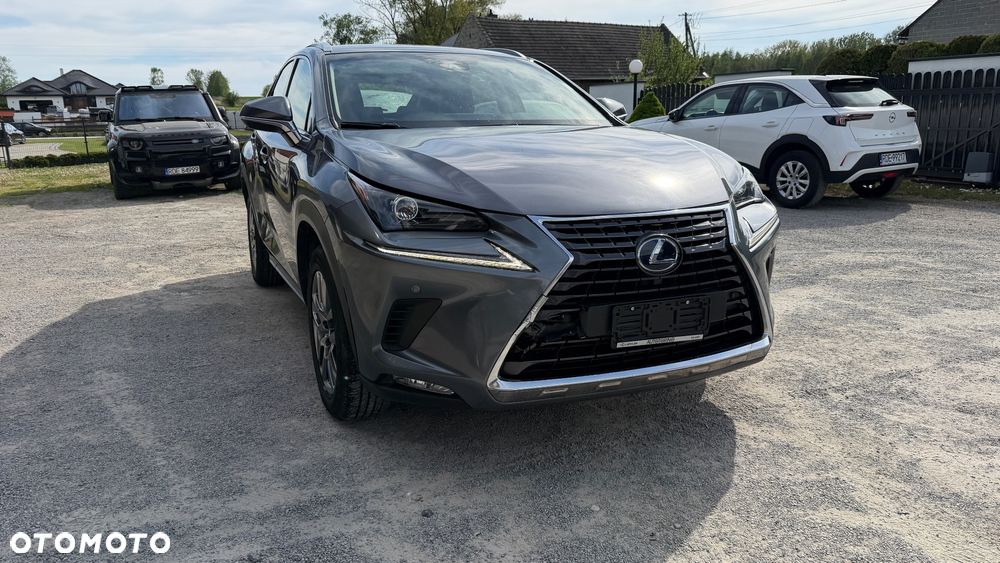 Lexus NX 300 AWD Executive Line - 6