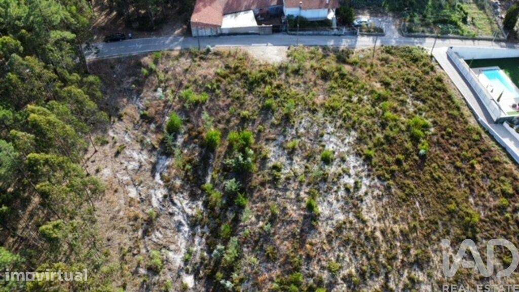 Terreno para construção em Marrazes e Barosa - Grande imagem: 4/9