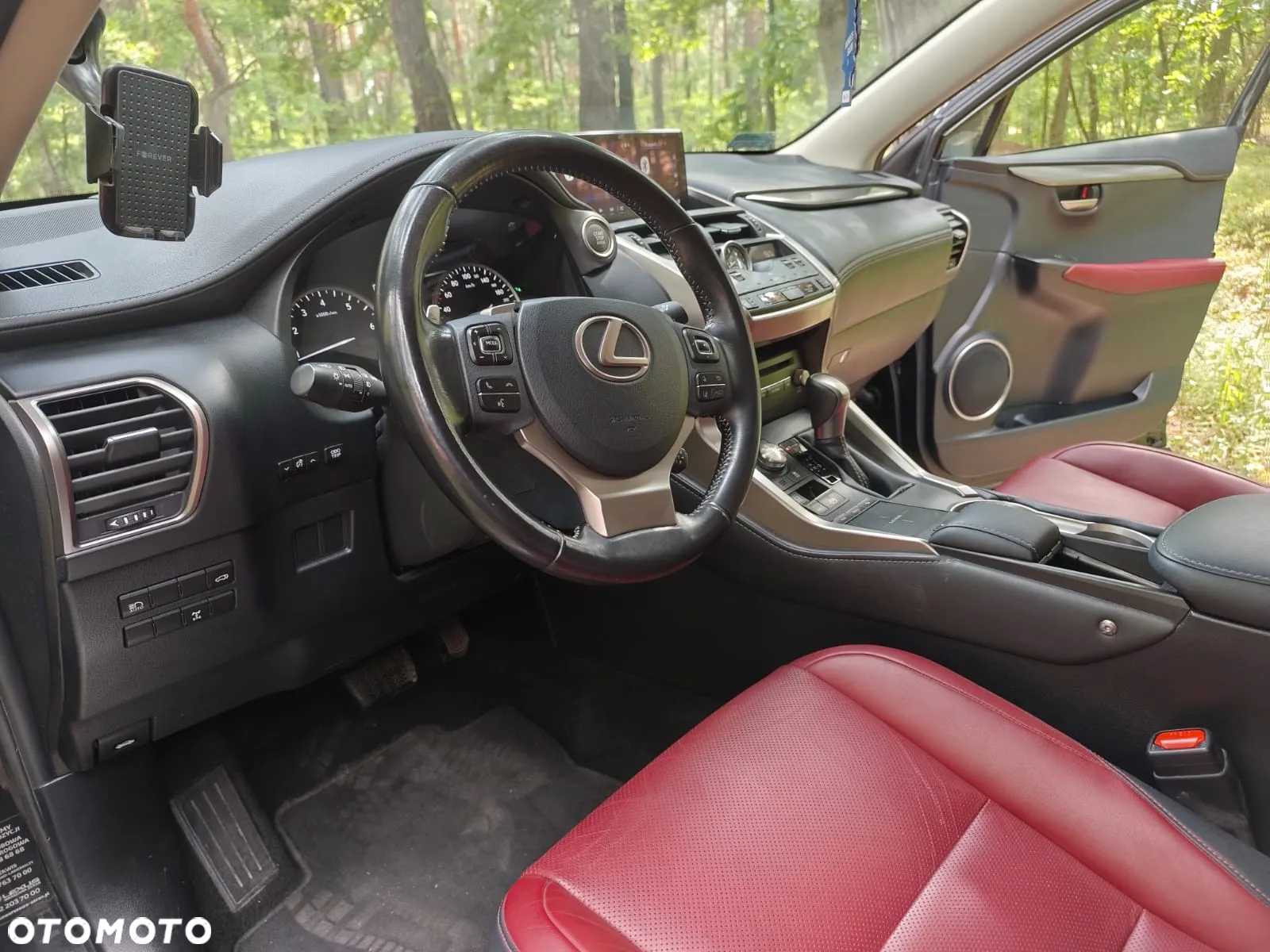 Lexus NX 300 Comfort AWD - 16