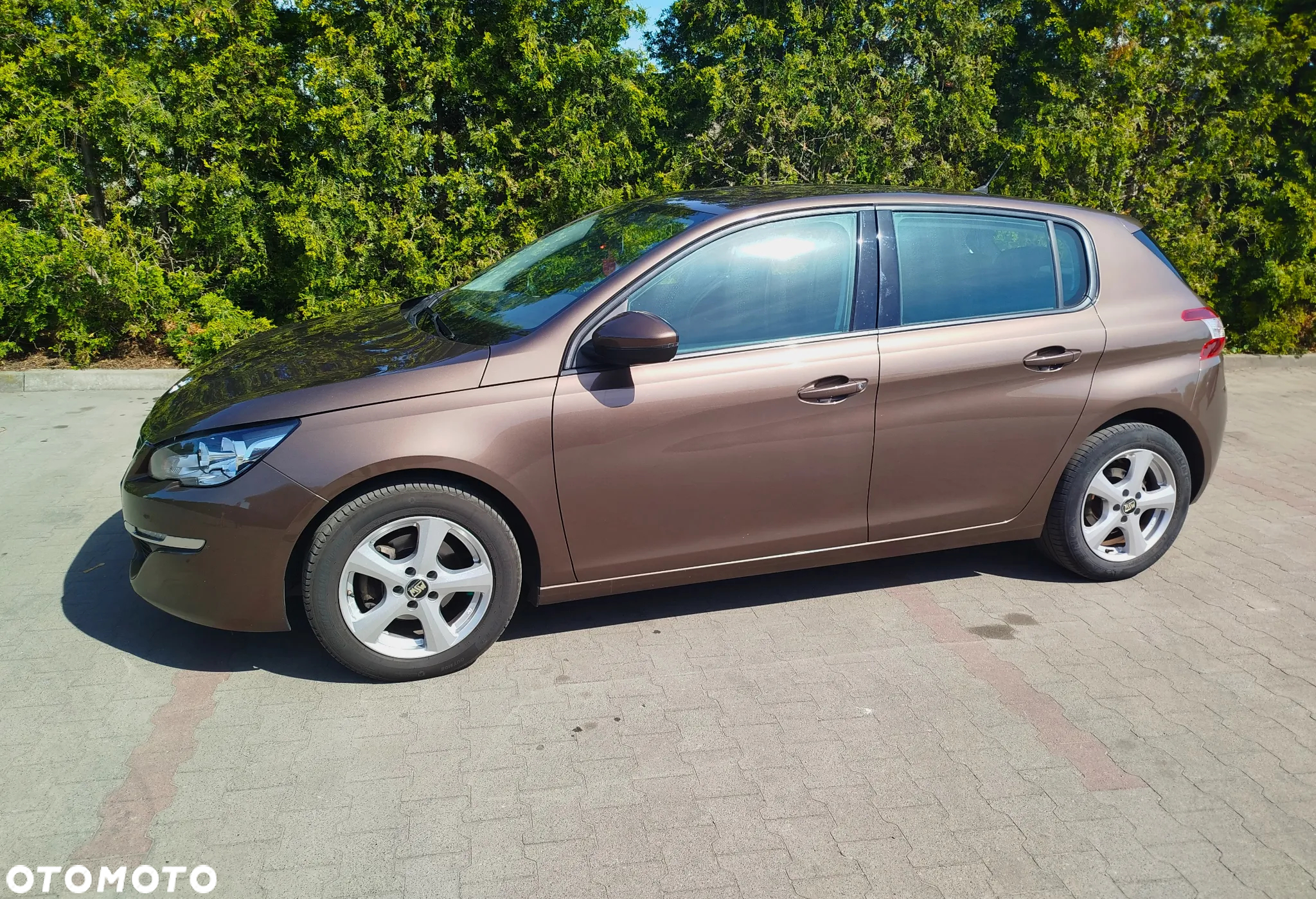 Peugeot 308 1.6 BlueHDi Active S&S - 10