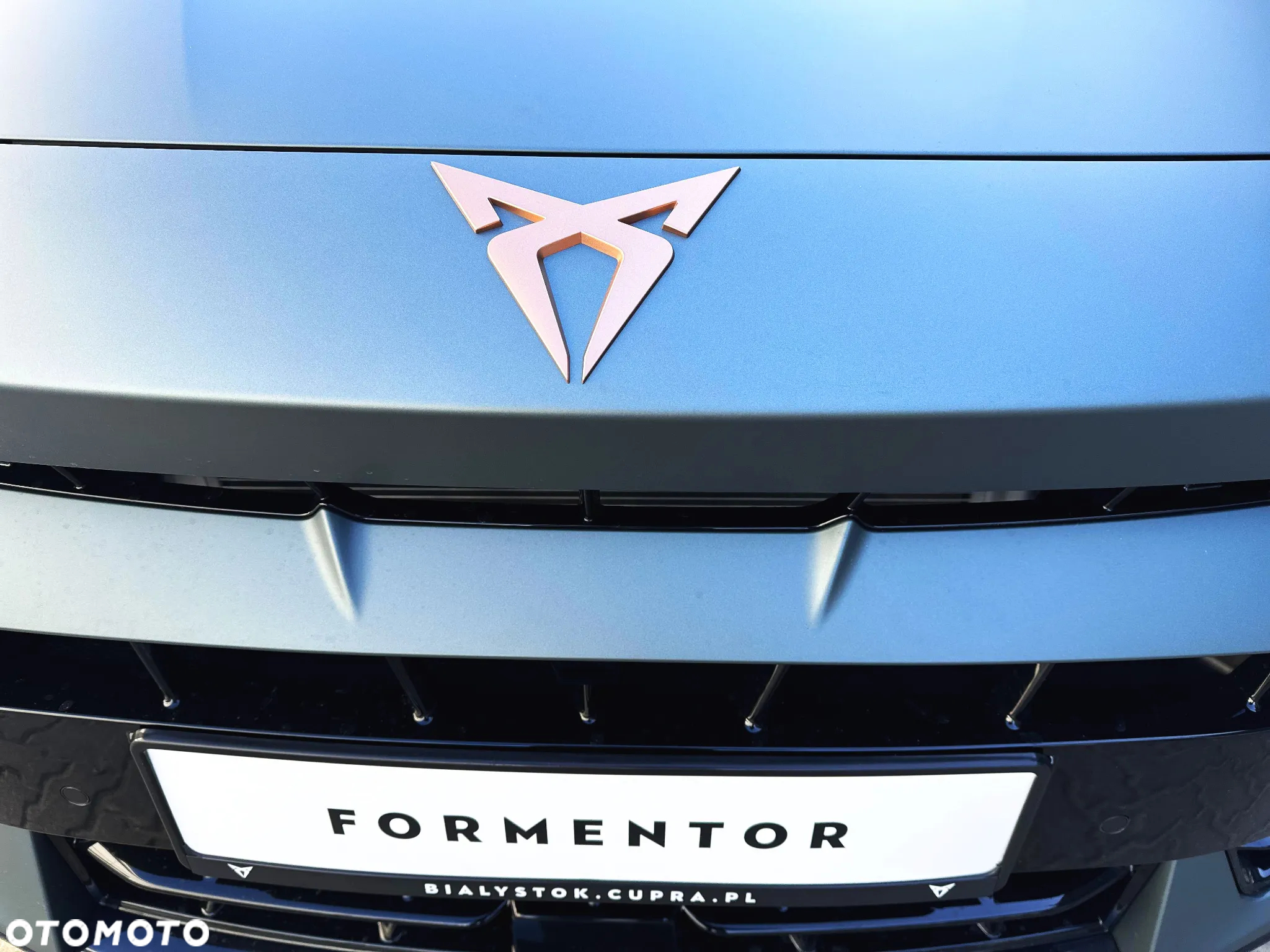 Cupra Formentor 1.5 TSI DSG - 20